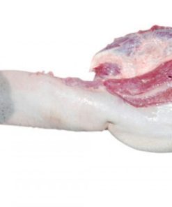 Buy Frozen Beef Tongue online