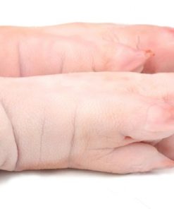Buy Frozen Pork feet front and hind online