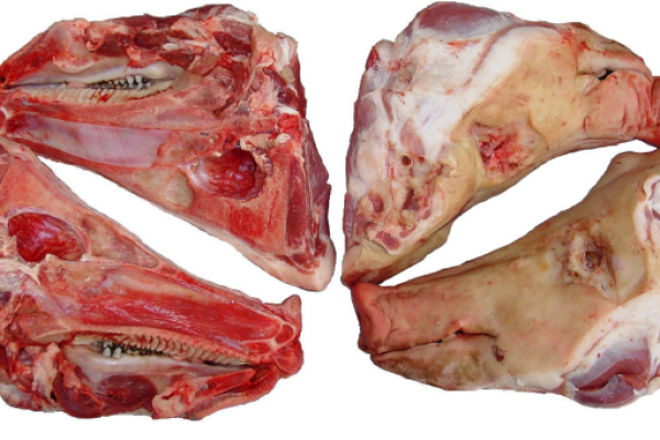 Frozen Pork heads Frozen Pork half heads - MARFRIG - BRF SA