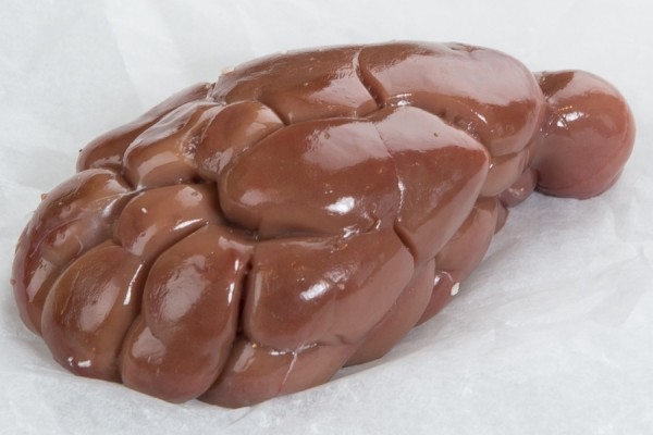 Frozen Veal Kidney - MARFRIG - BRF SA