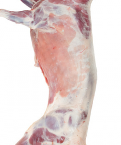 Buy Halal Fresh Frozen Goat meat carcass online